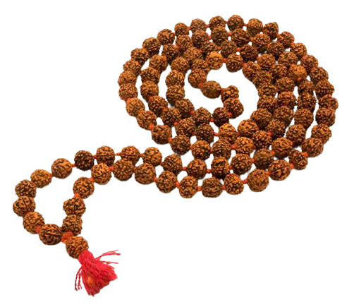 Rudraksha
